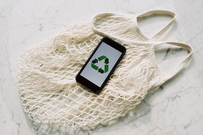 Sustainability Made Simple: 8 Easy Ways to Make Your Online Business More Eco-Friendly