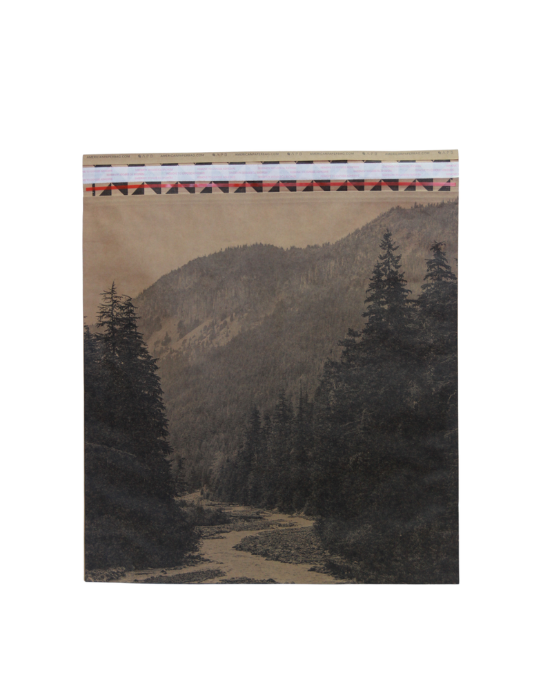 Untitled design (13).png__PID:75a03732-e917-4471-bf21-f4fc267ce56f